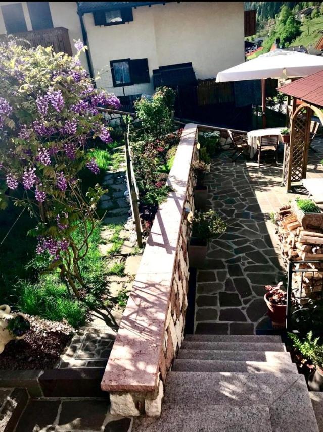 Bella Vista Lägenhet Canal San Bovo Exteriör bild